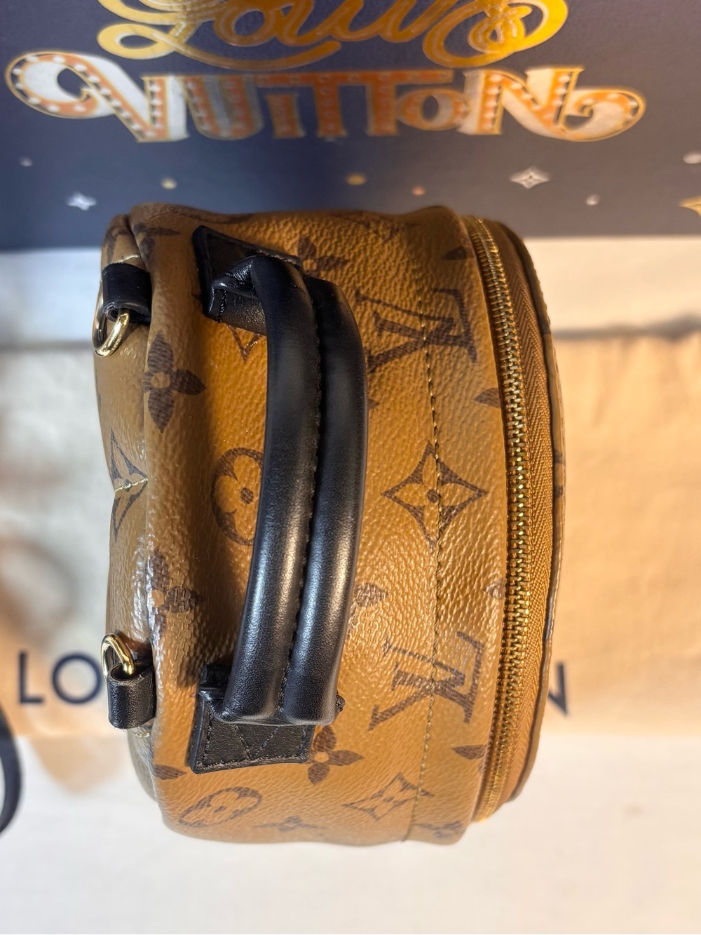Louis Vuitton Reverse Palm Springs Mini - Picture 4 of 16
